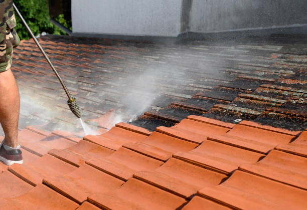 Best Best Pressure Washing Companies  in South Jacksonvle, IL