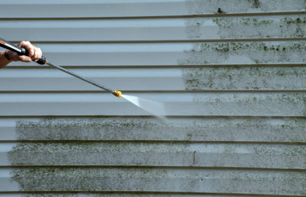 Best Exterior Home Cleaning  in South Jacksonvle, IL