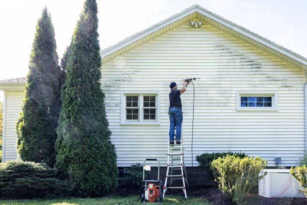 Best Garage Pressure Washing  in South Jacksonvle, IL