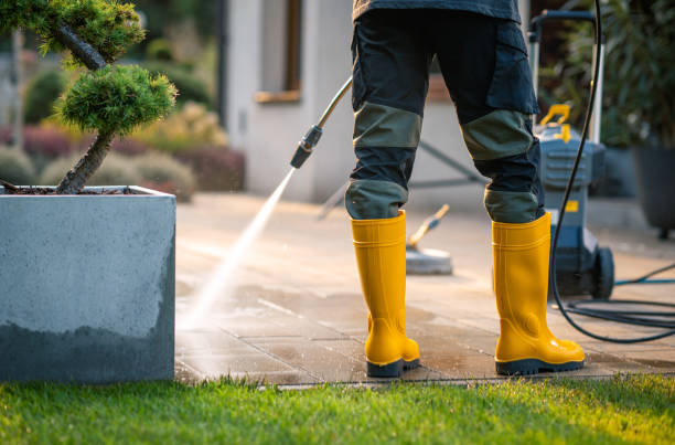 Best Roof Power Washing Services  in South Jacksonvle, IL